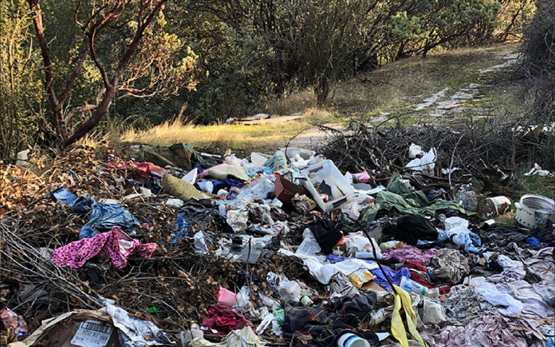 Cal Recycle Trash Clean Up