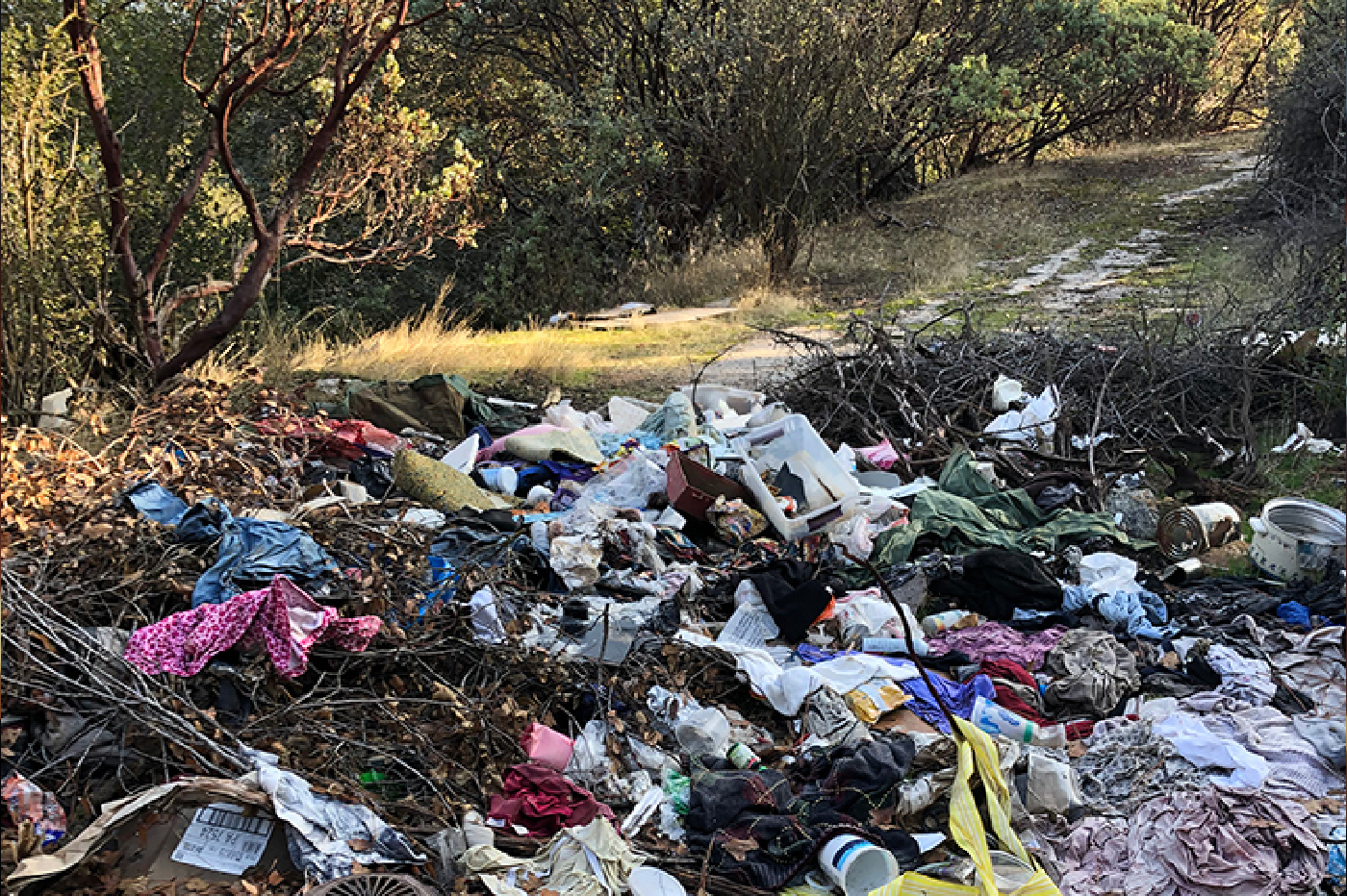 Trash being collected at Manzanita Lake, CA from a CalRecycle grant sponsored trash pick-up