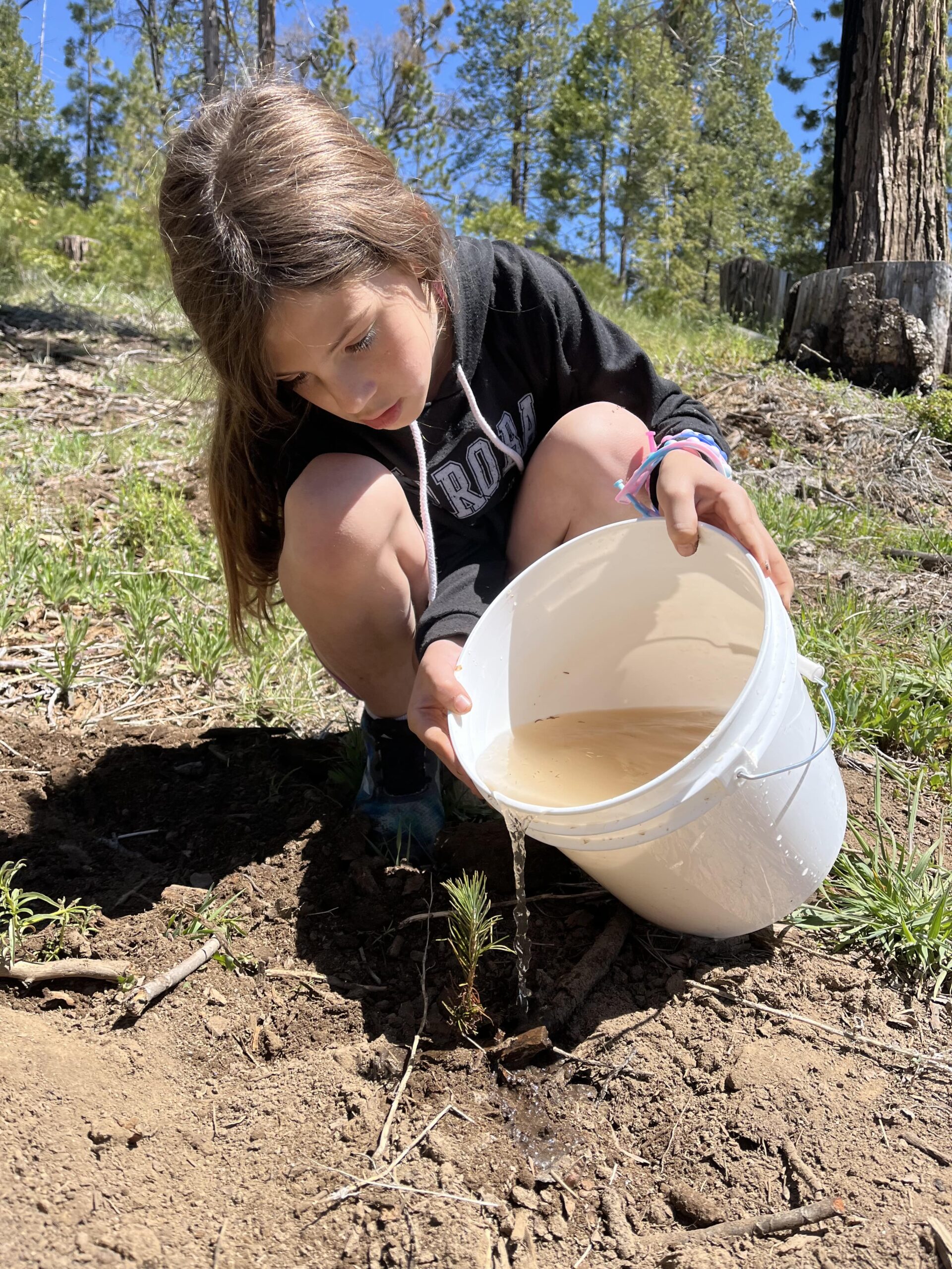 North Fork Elementary student volunteer watering freshly planted tree