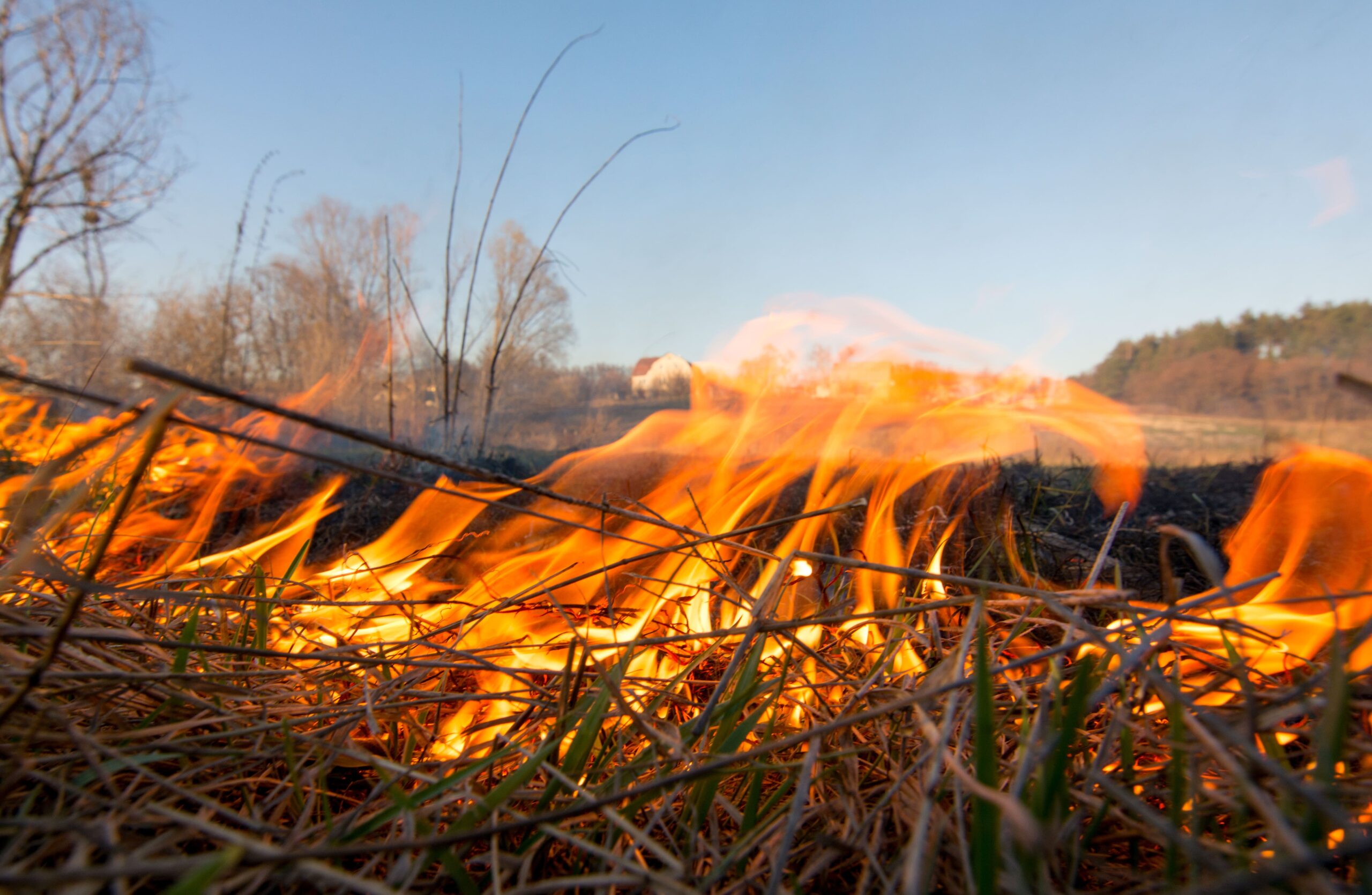 wildfire-evacuation-and-tracking-resources-coarsegold-resource