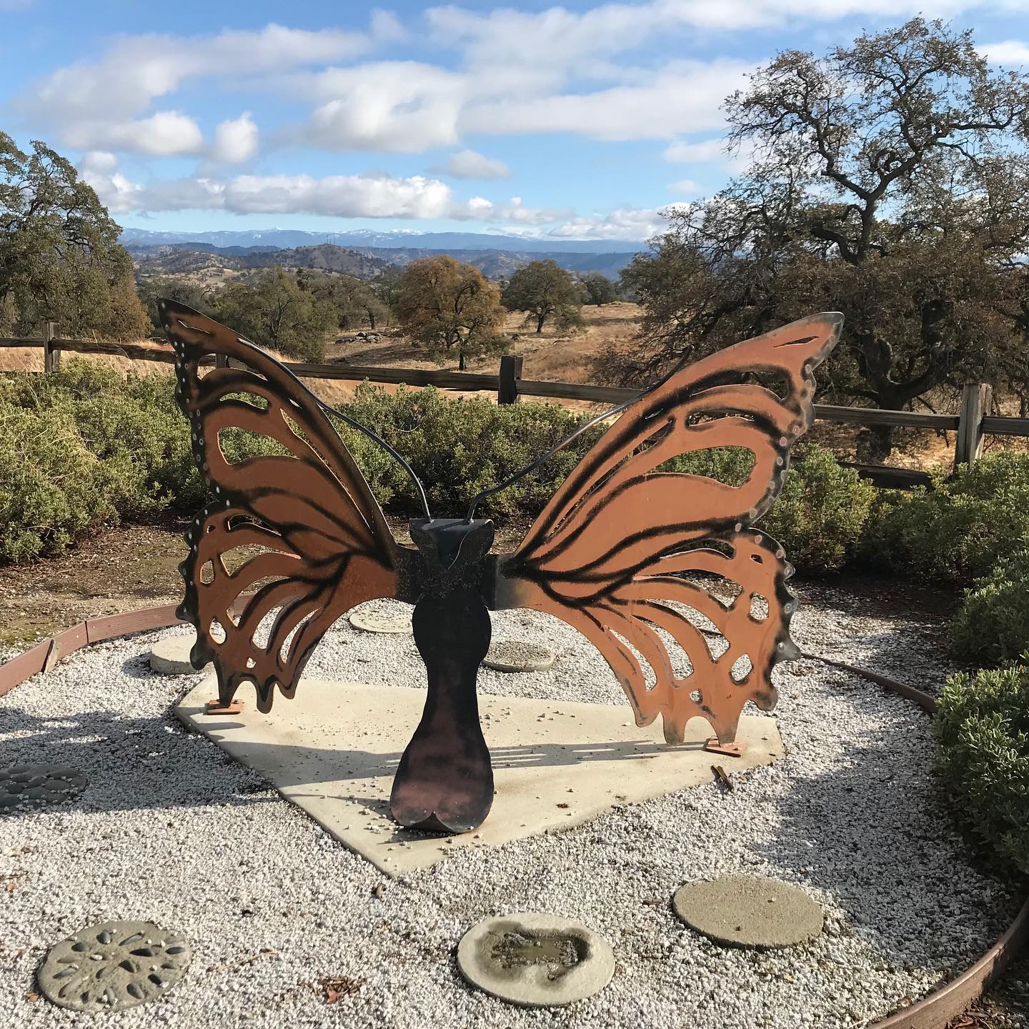 Sculpture of a butterfly in a garden
