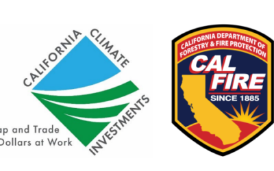 Eastern Madera Fire Prevention Assistance available through CRCD and CALFIRE.